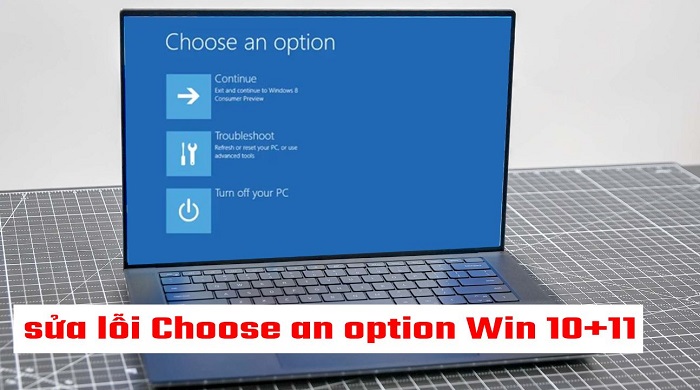 [Good Tips] Instructions for Fixing Errors Choose an Option Win 10+11 Explained